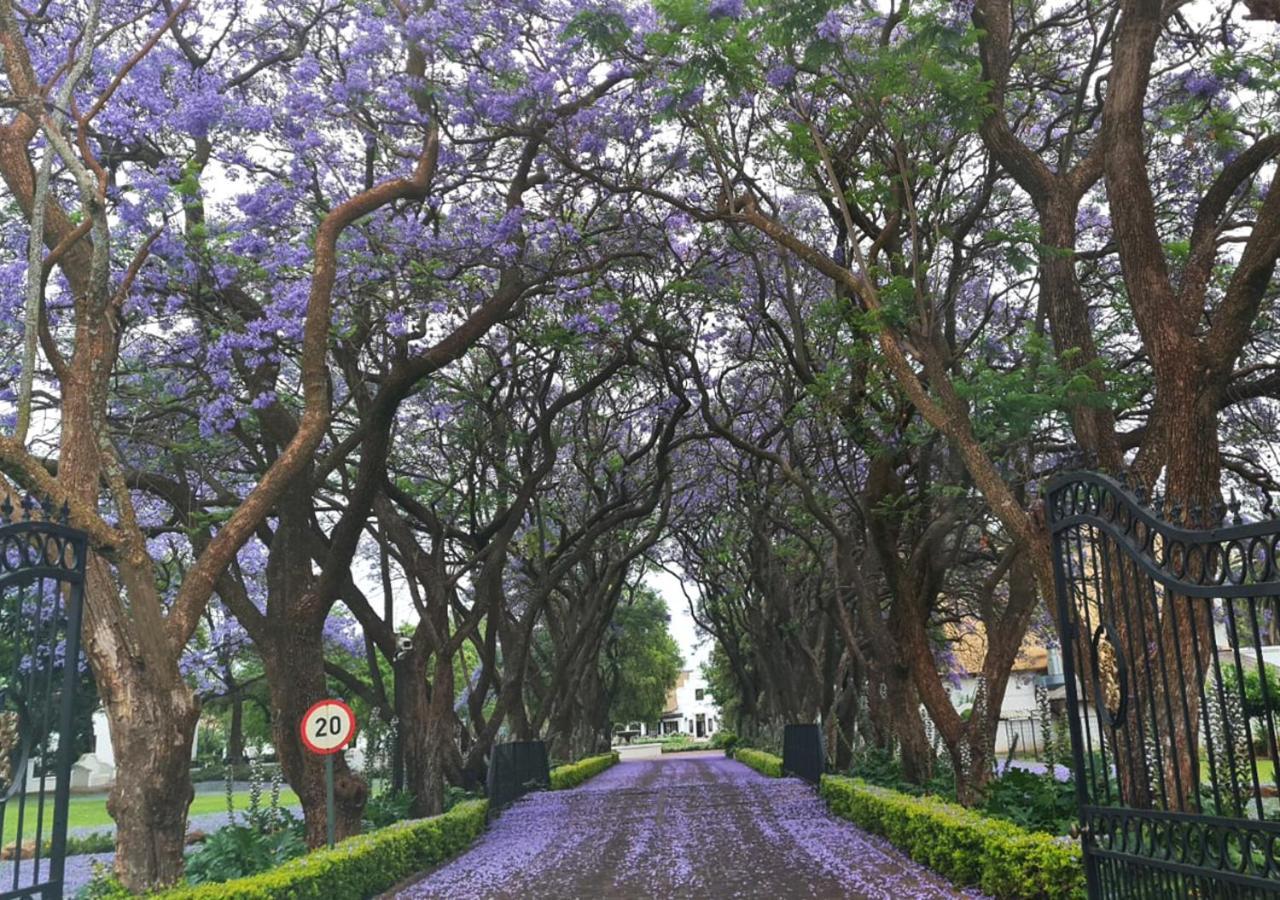 Kievits Kroon Gauteng Wine Estate Pretoria-Noord Eksteriør billede