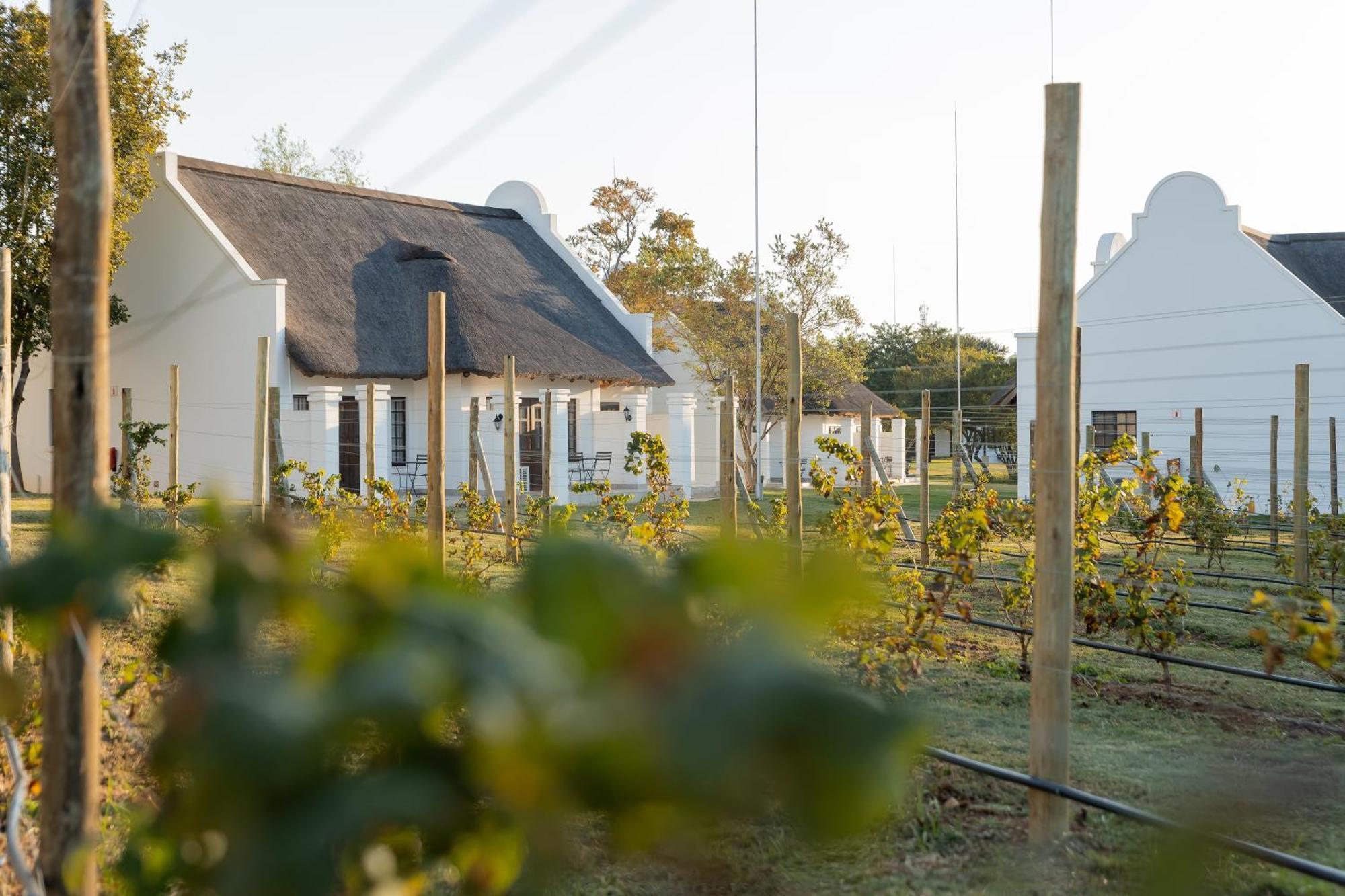 Kievits Kroon Gauteng Wine Estate Pretoria-Noord Eksteriør billede